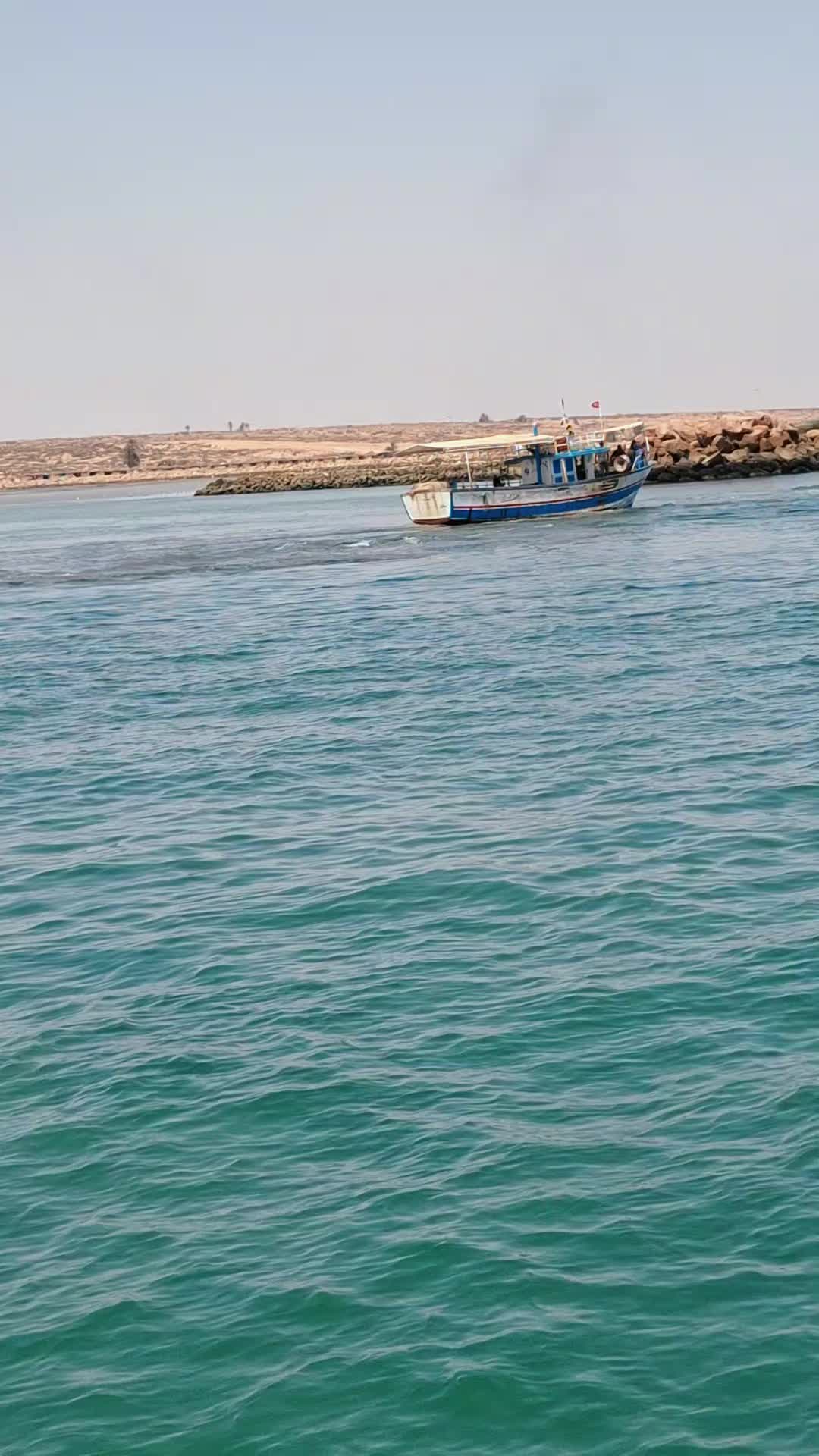 @حفيظي أمين