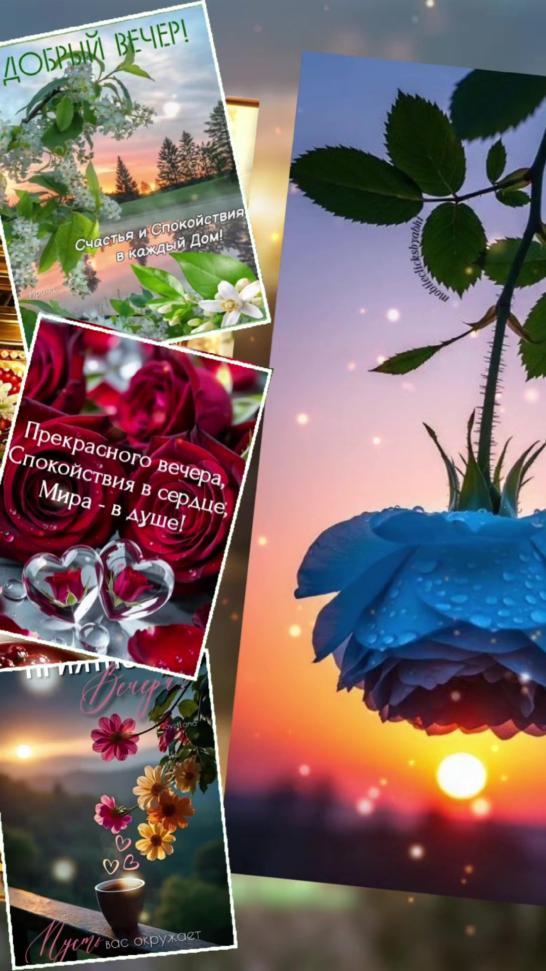 @❌🐯ЛЮДМИЛАБелоковаленко♒&hearts;️