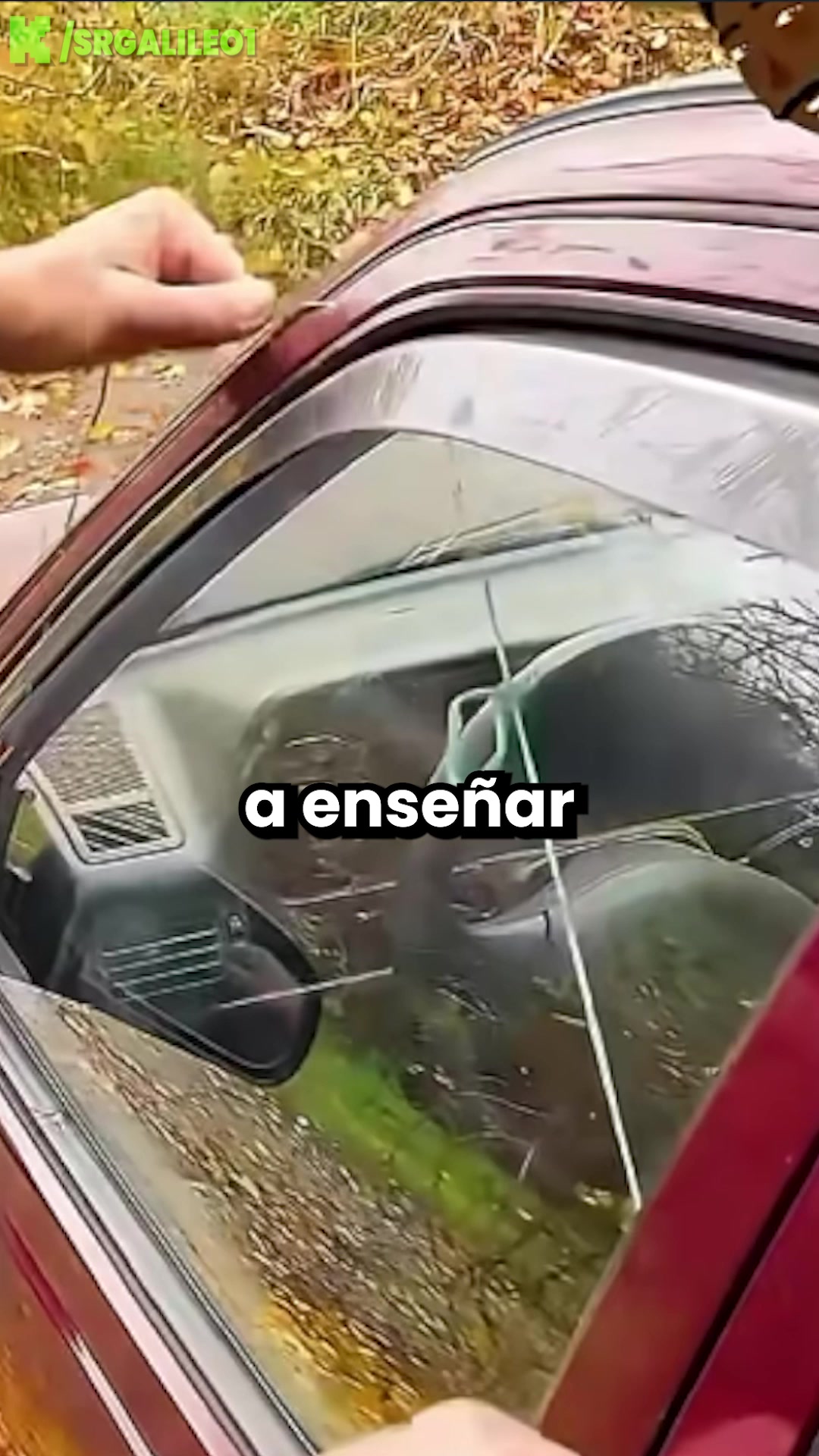 @Sr Galileo