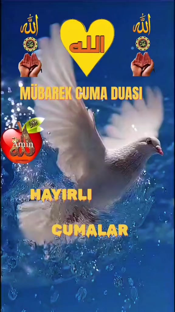 @💚NAKŞİ💜AİLESİ💚EBAGÜL❤️