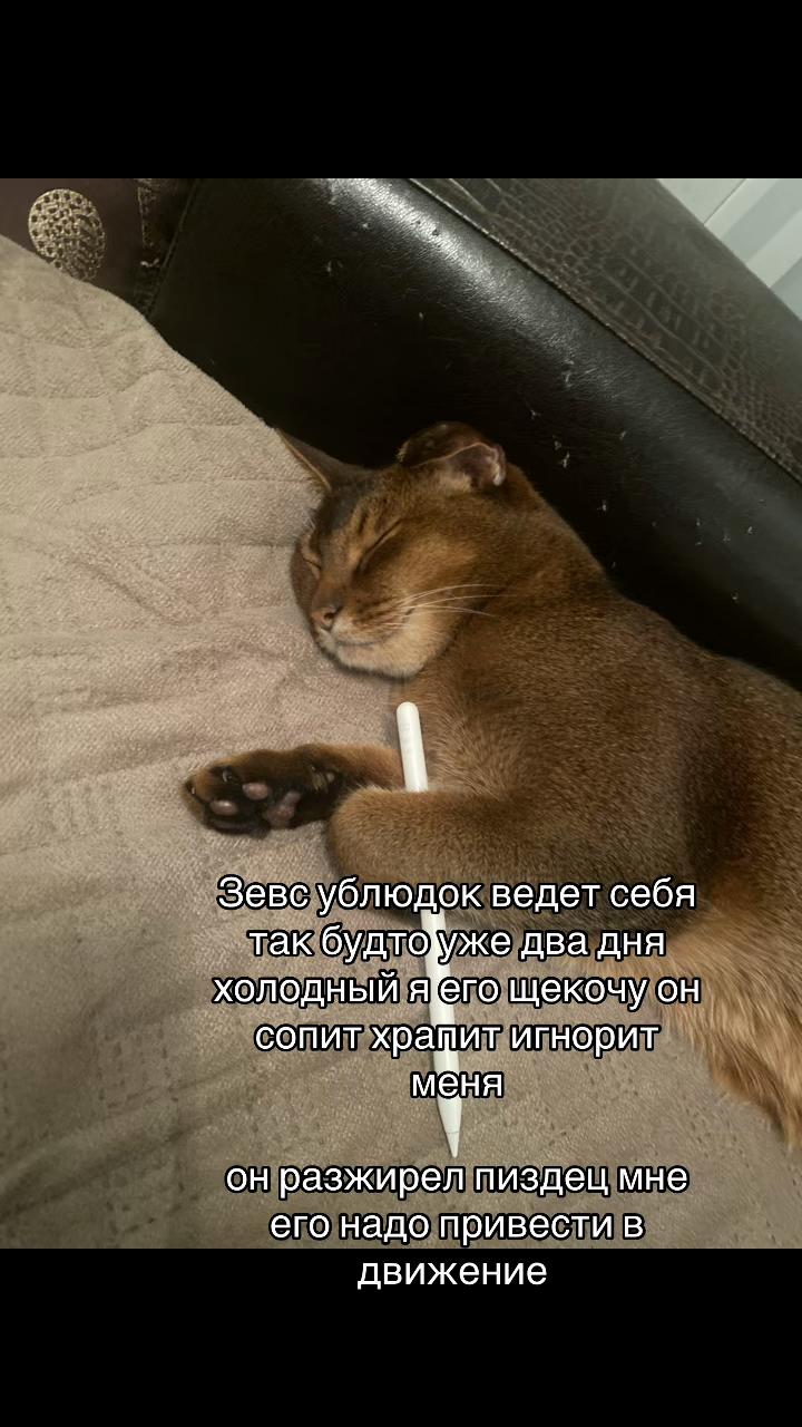 @μелиз