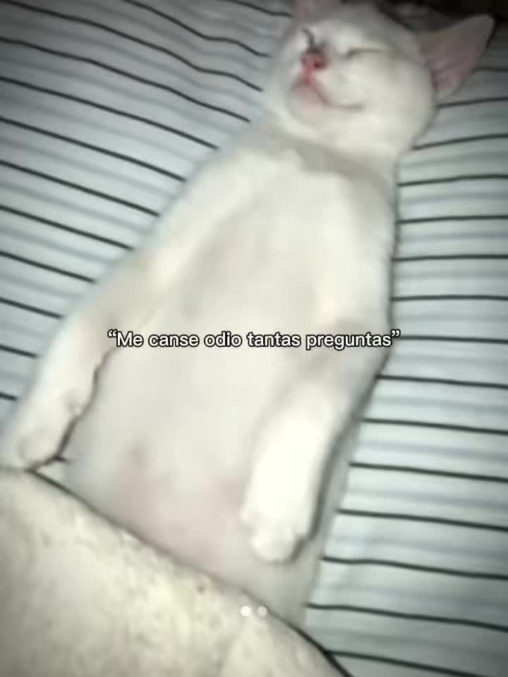 @ferdsdany