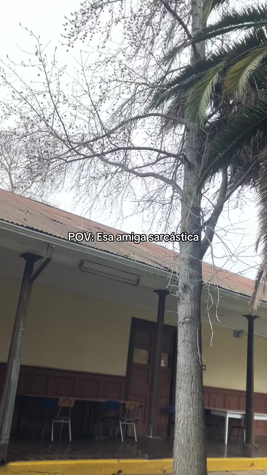 @lajoju