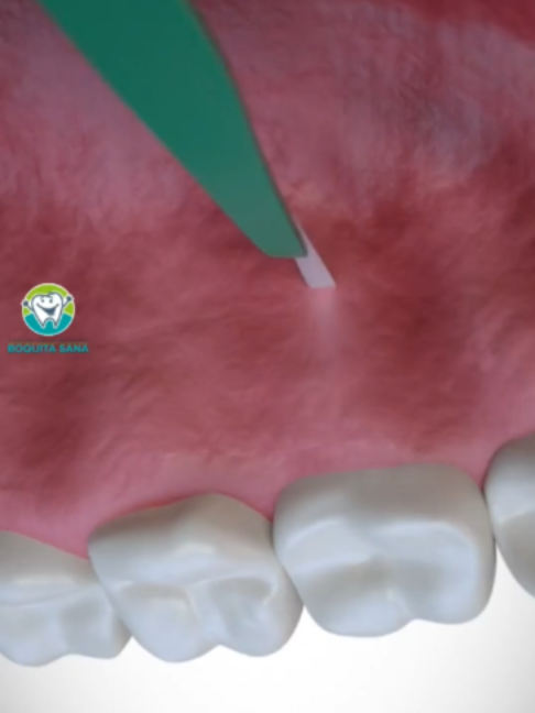 @Boquita sana - Odontolog&iacute;a