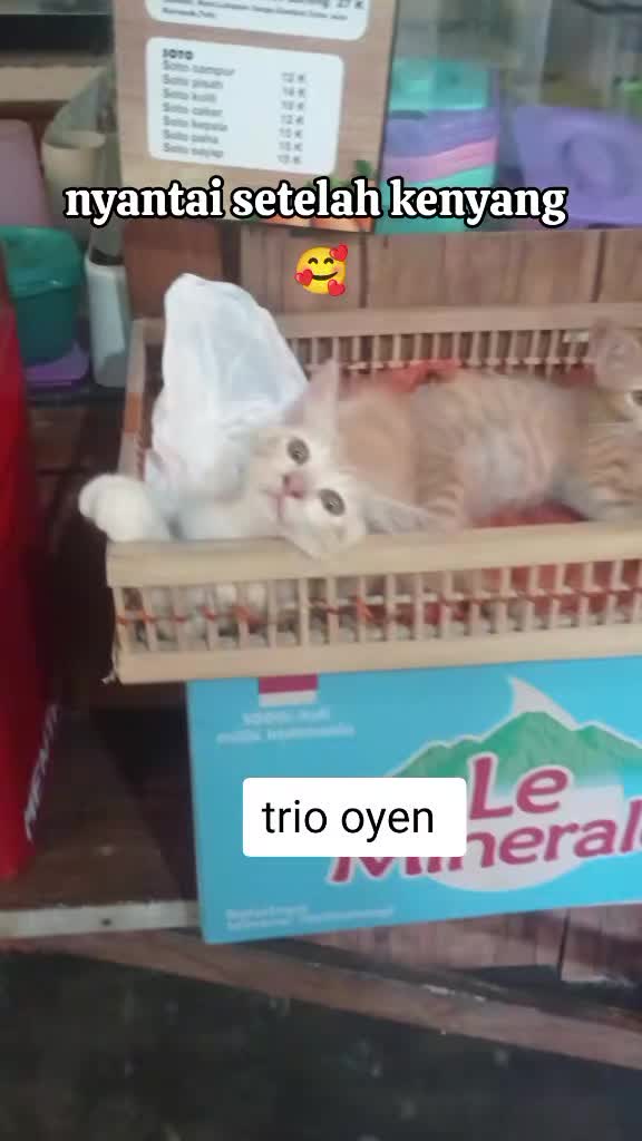 @apfia mei
