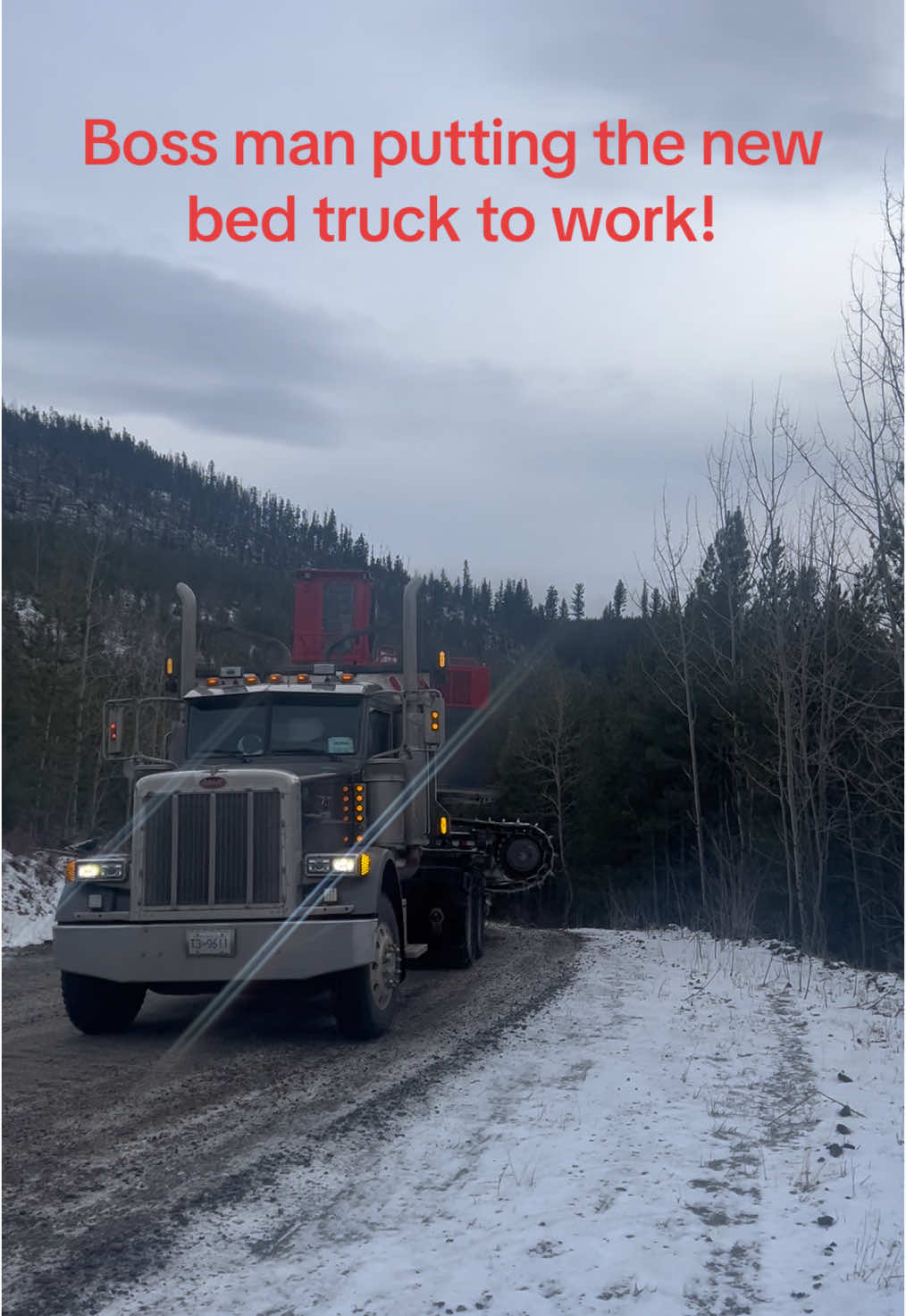 @ltslogging