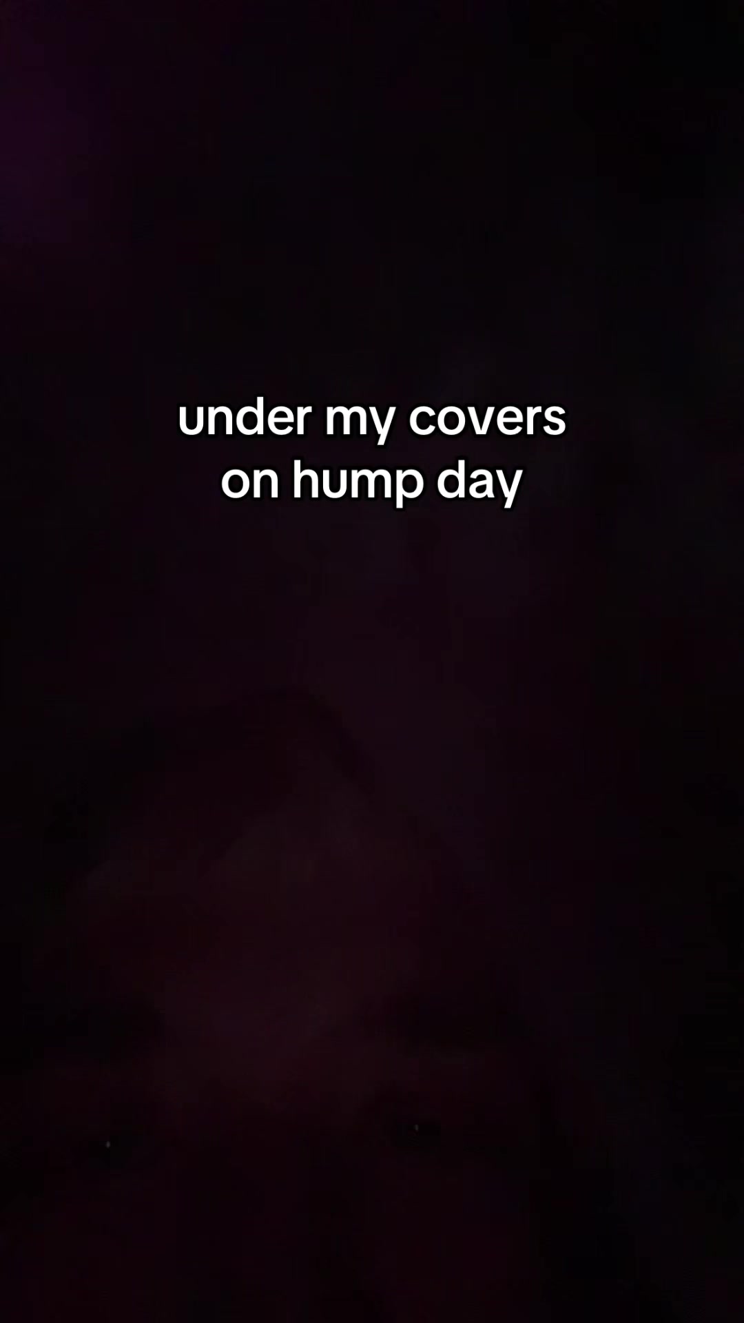 @🦕