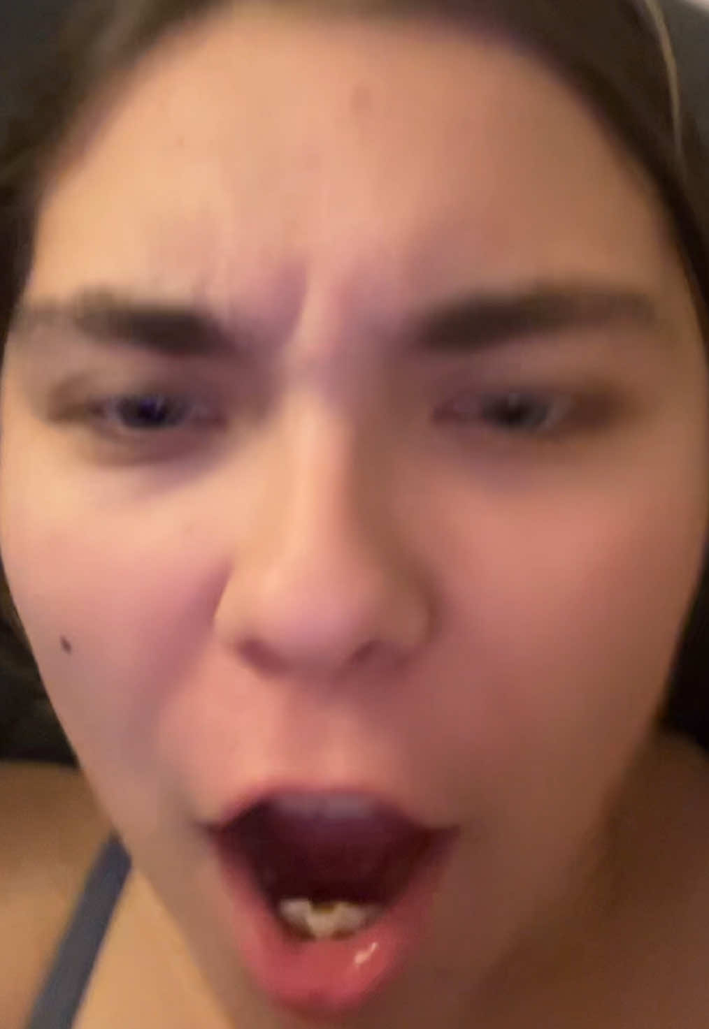 @FamiliarFEYpets