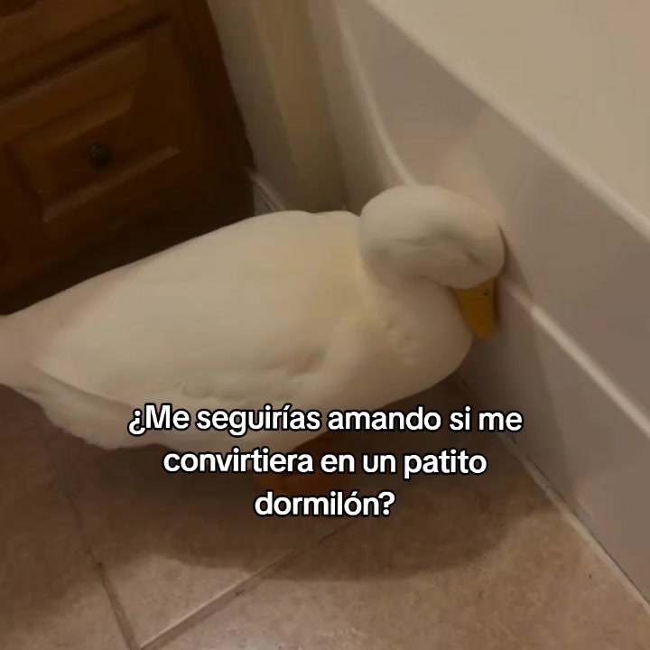 @goodvibessxd