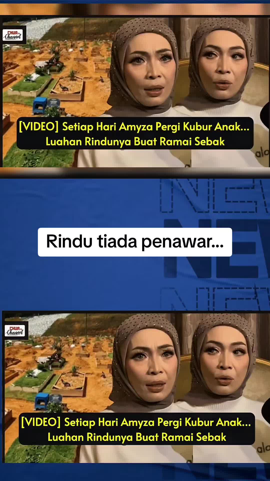 @Netizen Malaya