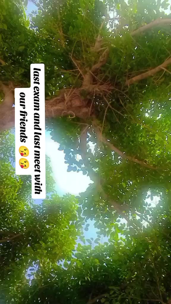 @Sharma ji🖤