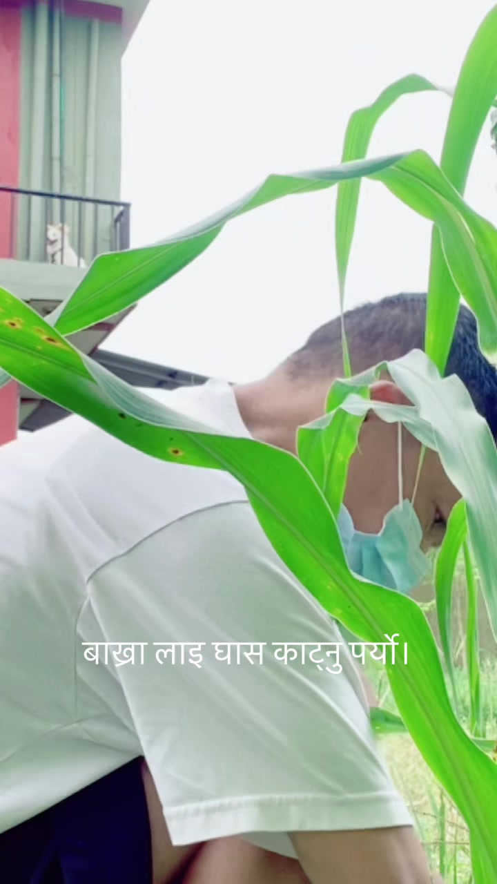 @chhabilalthapa