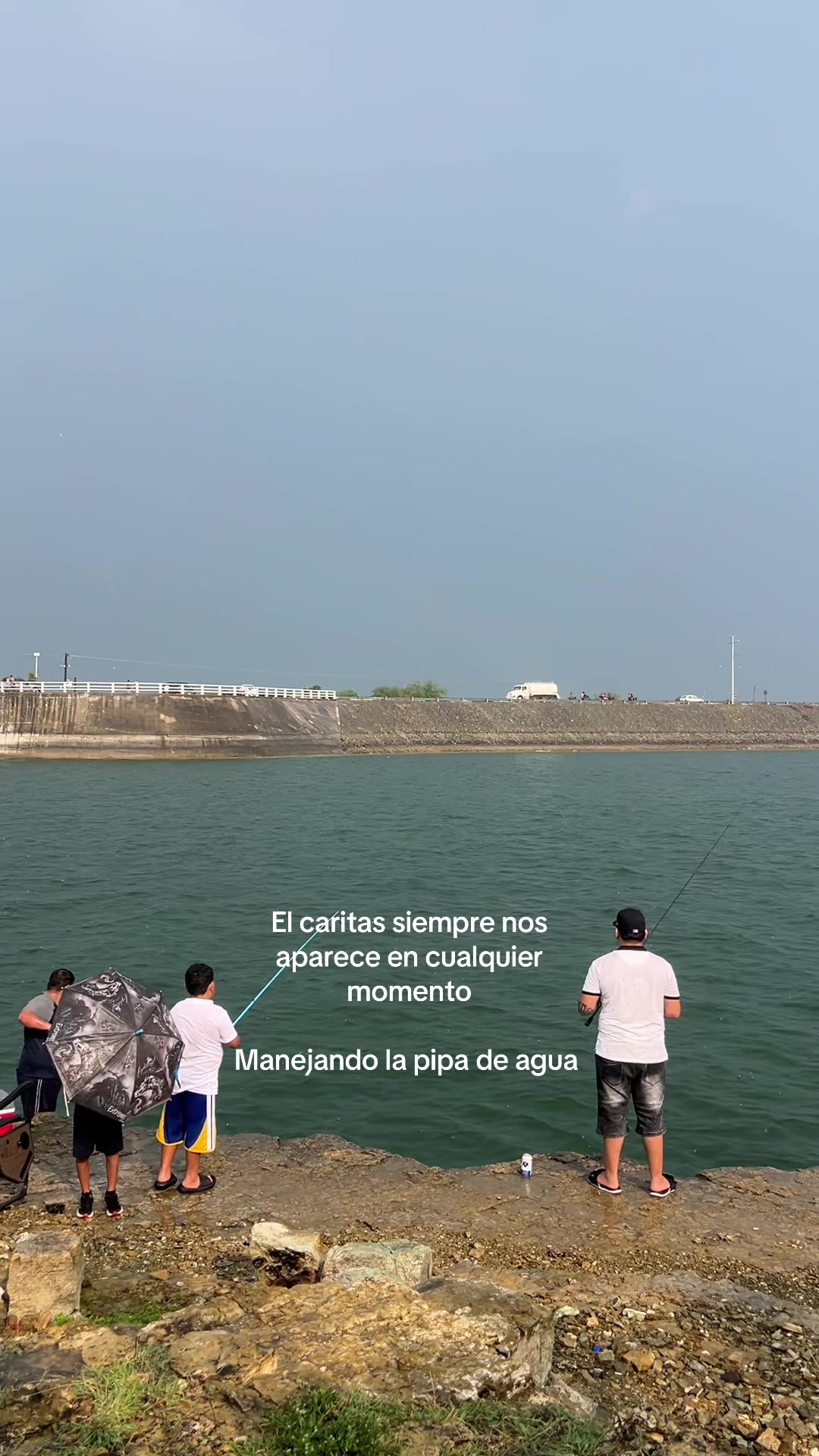 @Bruno Valdez