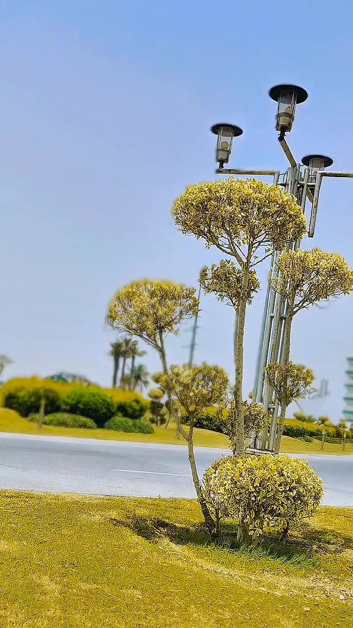 @🤍مہر🤍