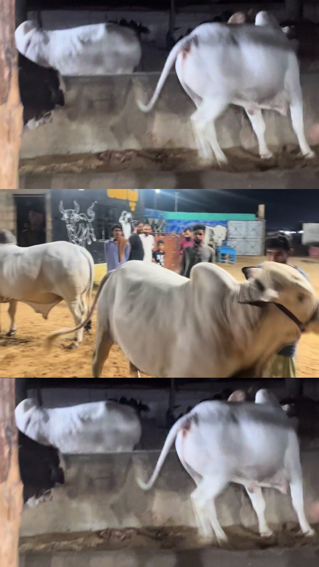 @Assam Raja Shaikh ⚔️