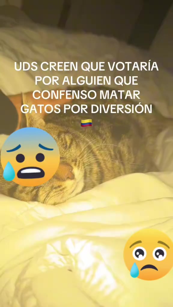 @❤️paloma