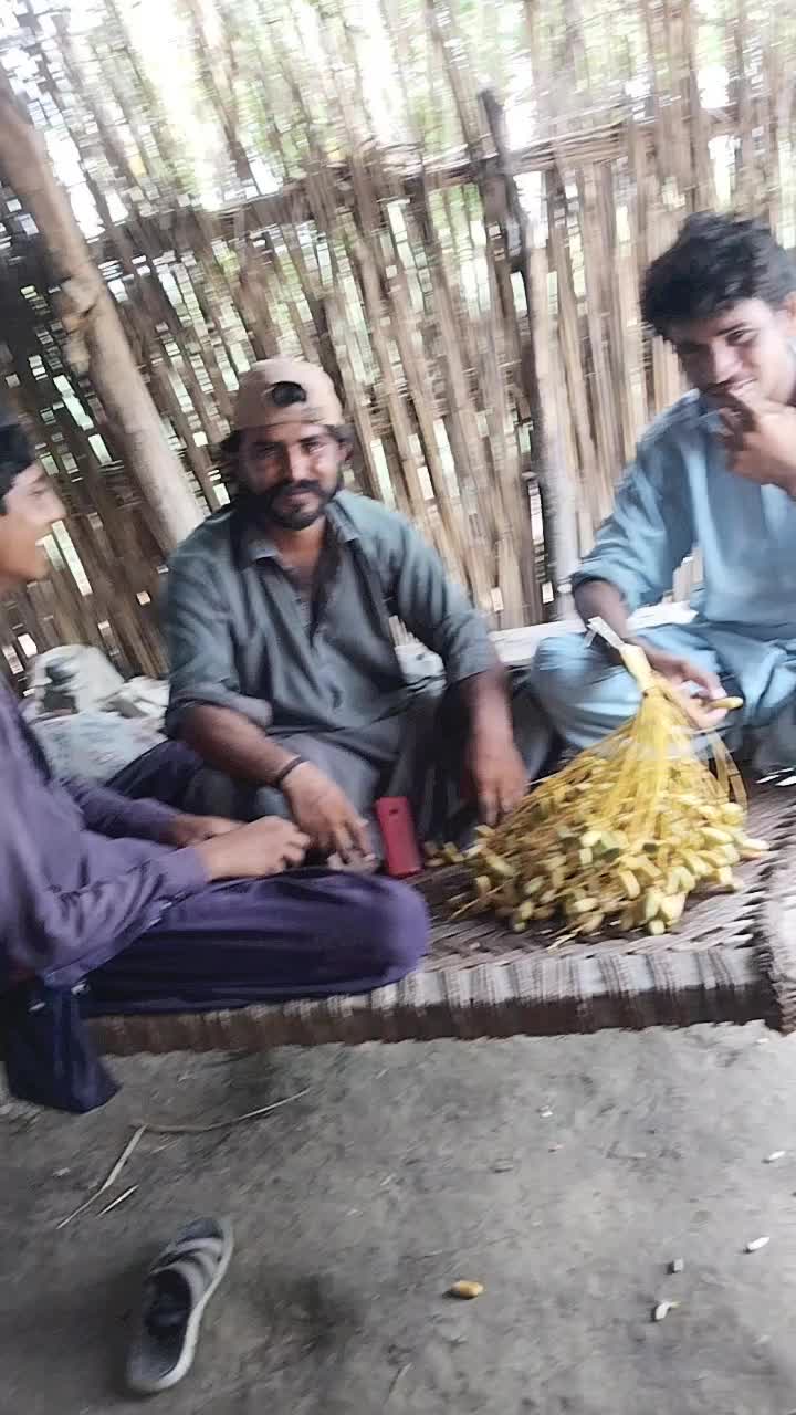 @Rahmtallah
