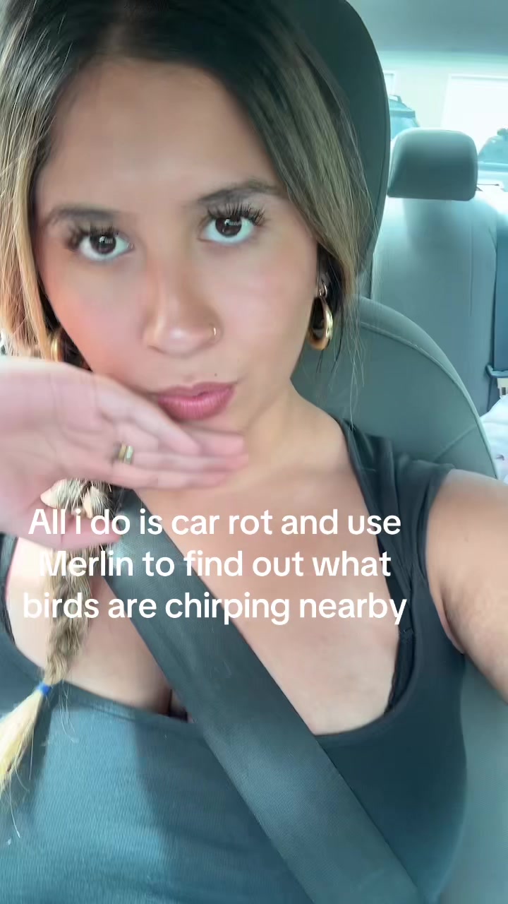 @alanna