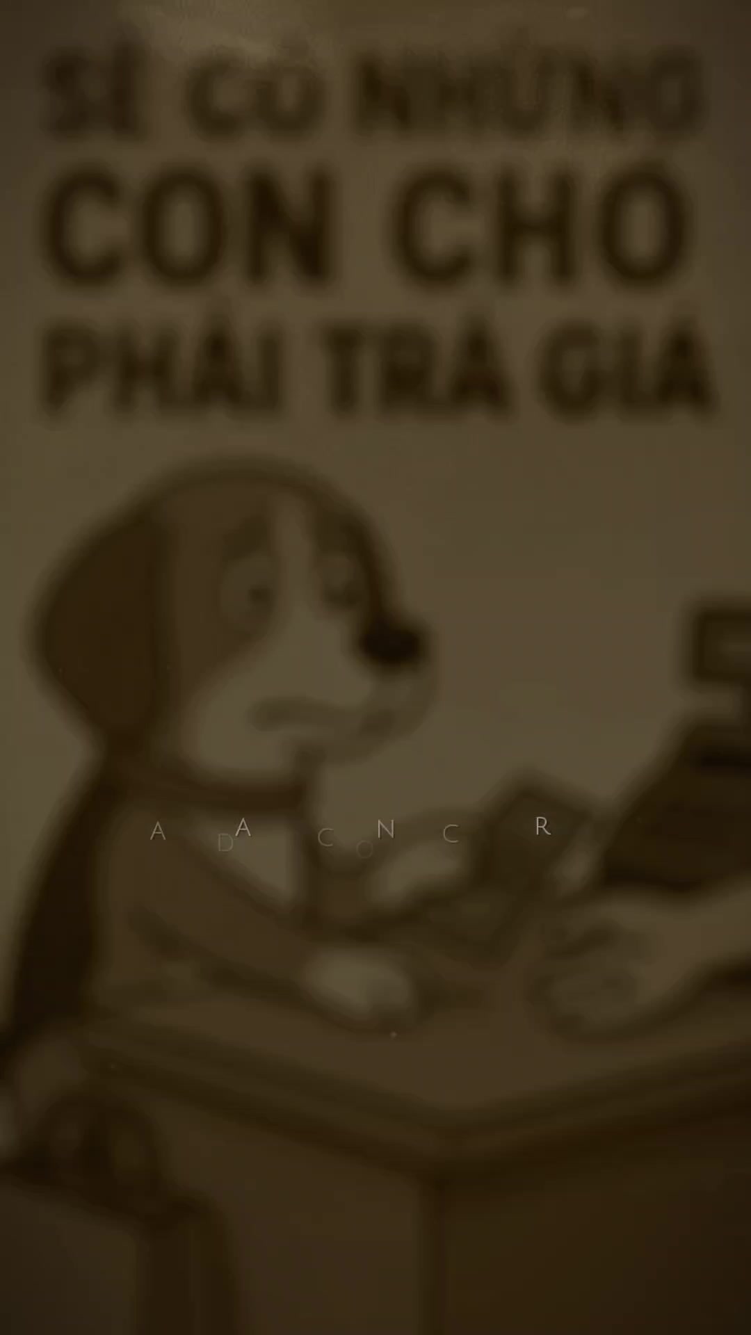 @ミ★ᴅᴏᴜʙʟᴇ ғᴜᴜᴛᴏ ᴛᴀɴᴛᴇɪ★彡🇻🇳