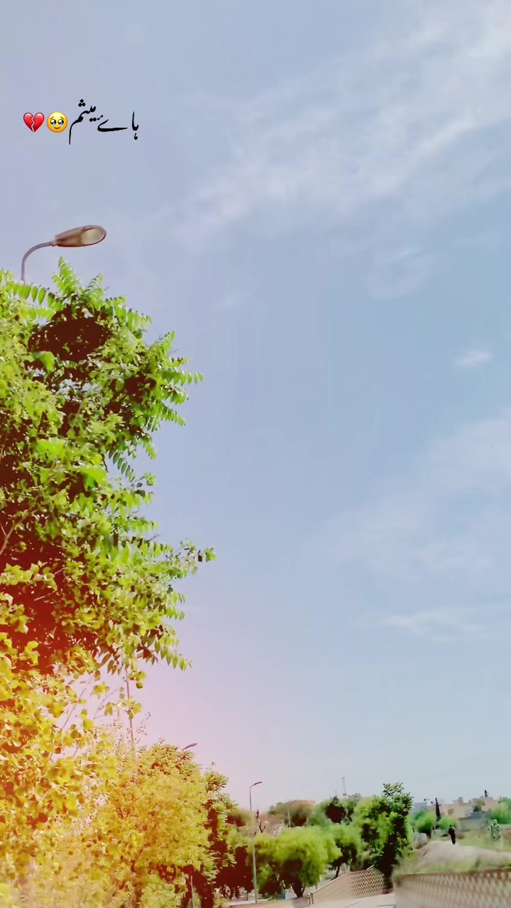 @🍁راجہ حيدر🫀