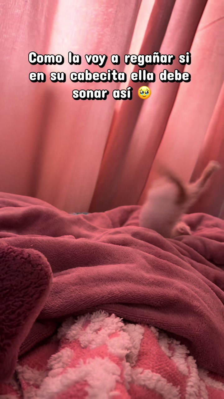 @Ari✨