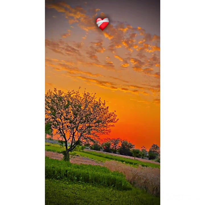 @⚜️عماد۔!۔واھلہ⚜️