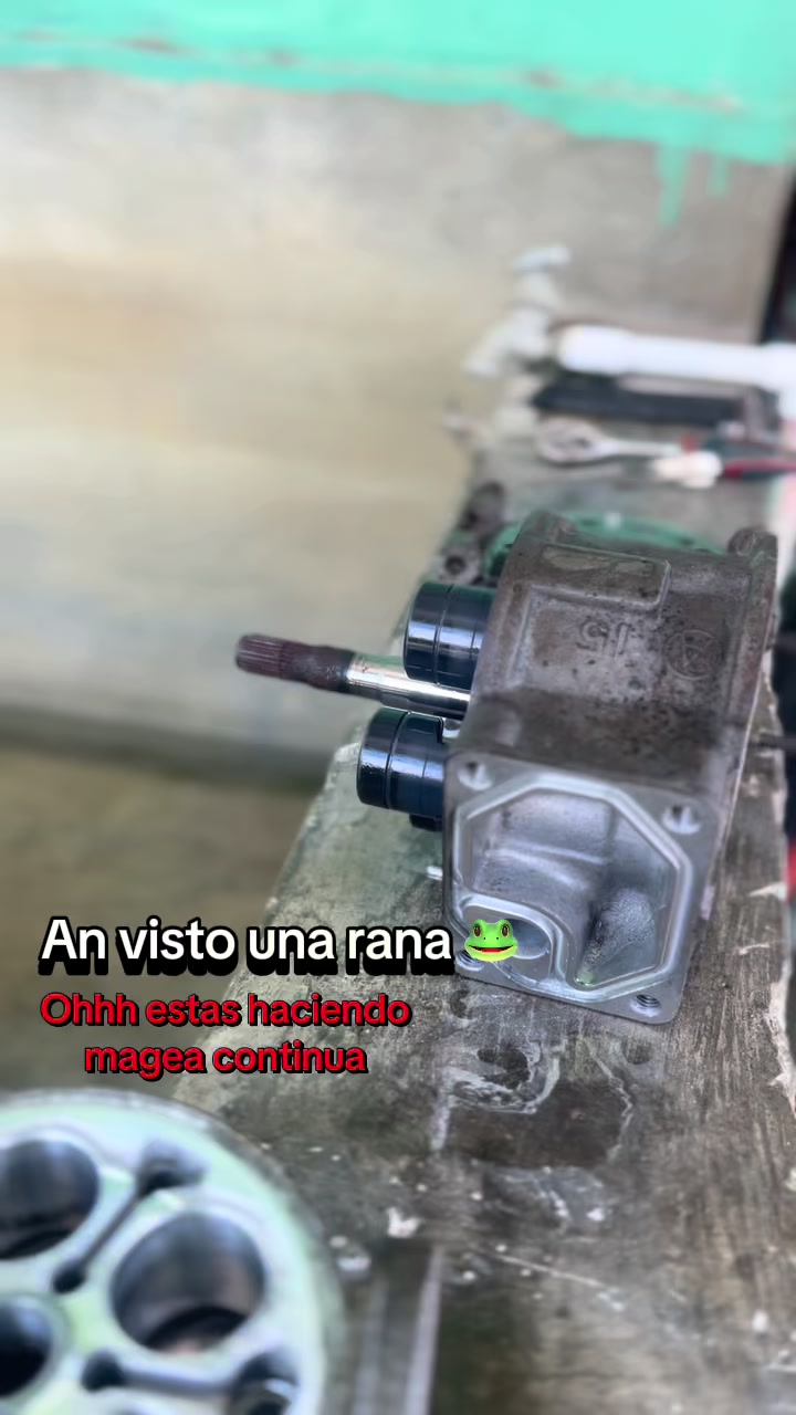 @Orellana_Alejandro🦈🩸