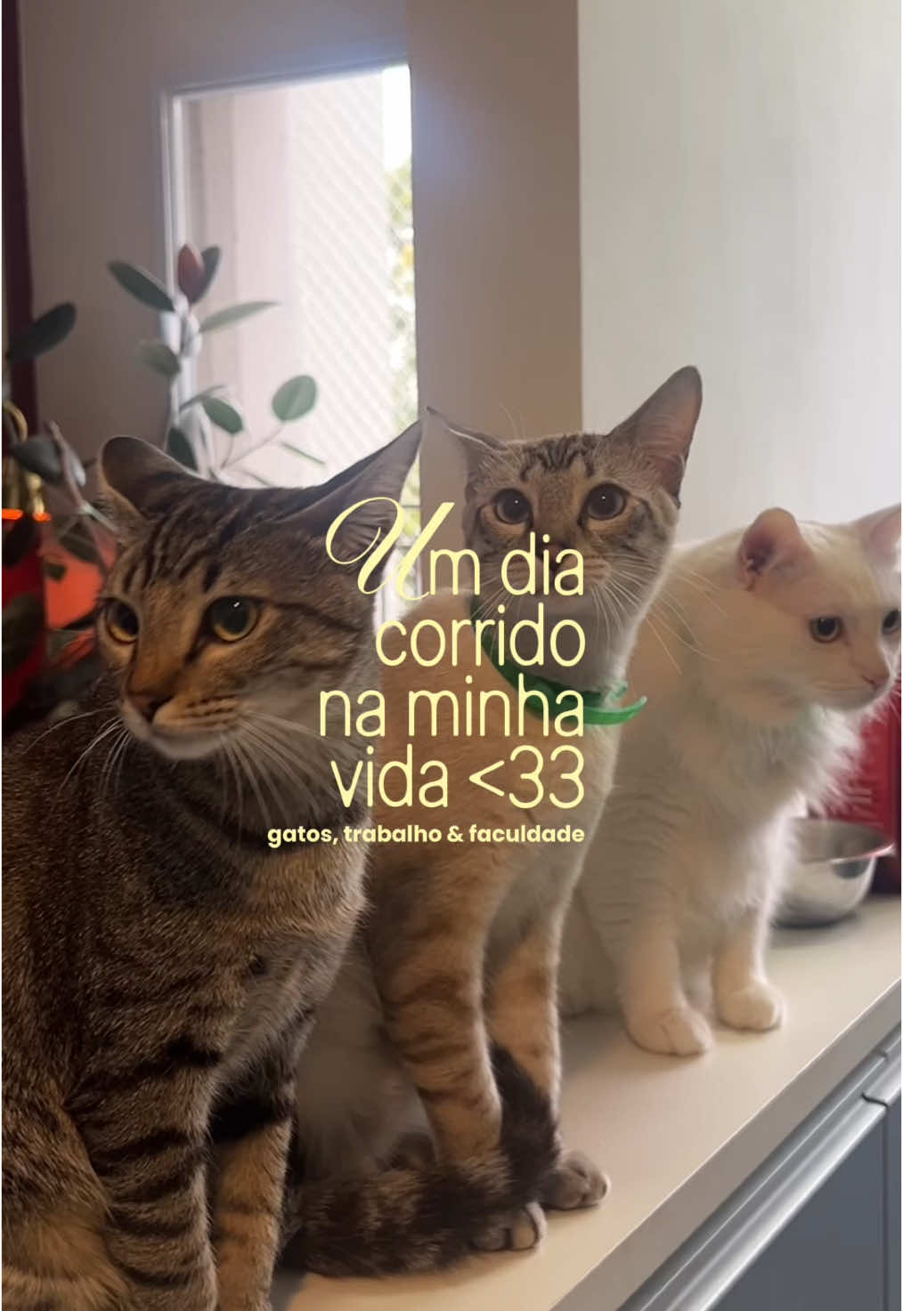 @ju almada