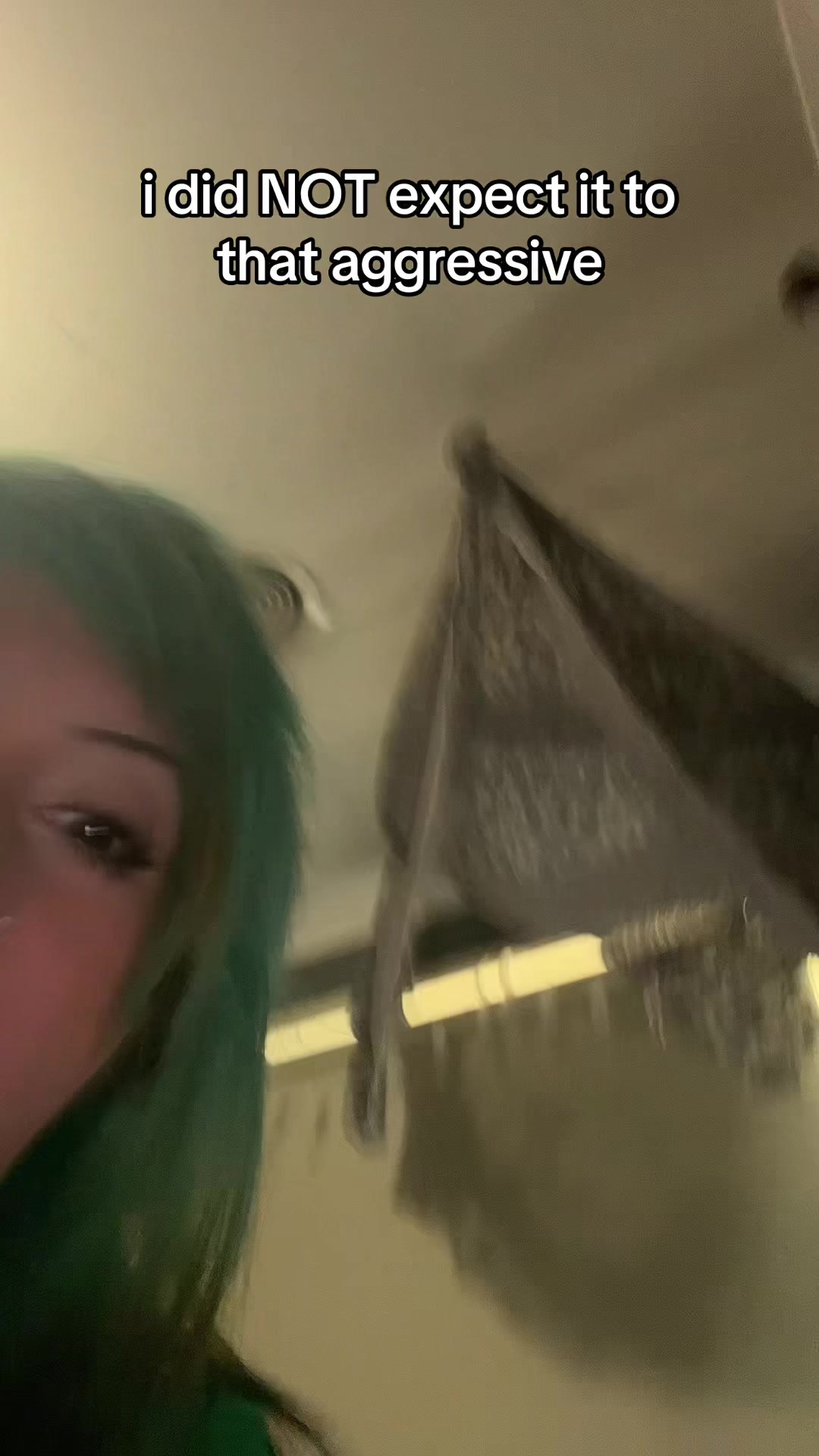 @bianca 🦇