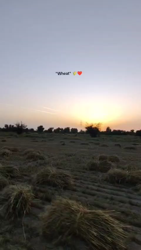 @KP_Police18