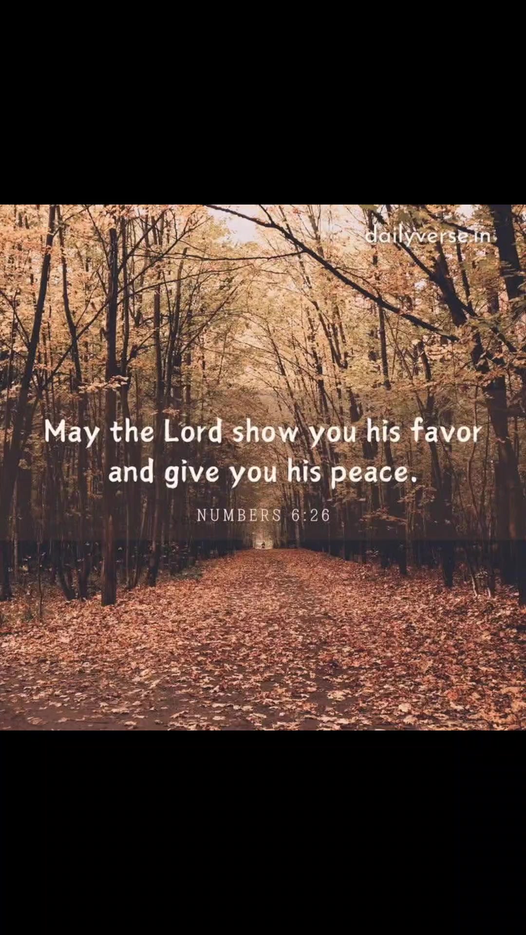 @✝️🤍Joy✝️🤍