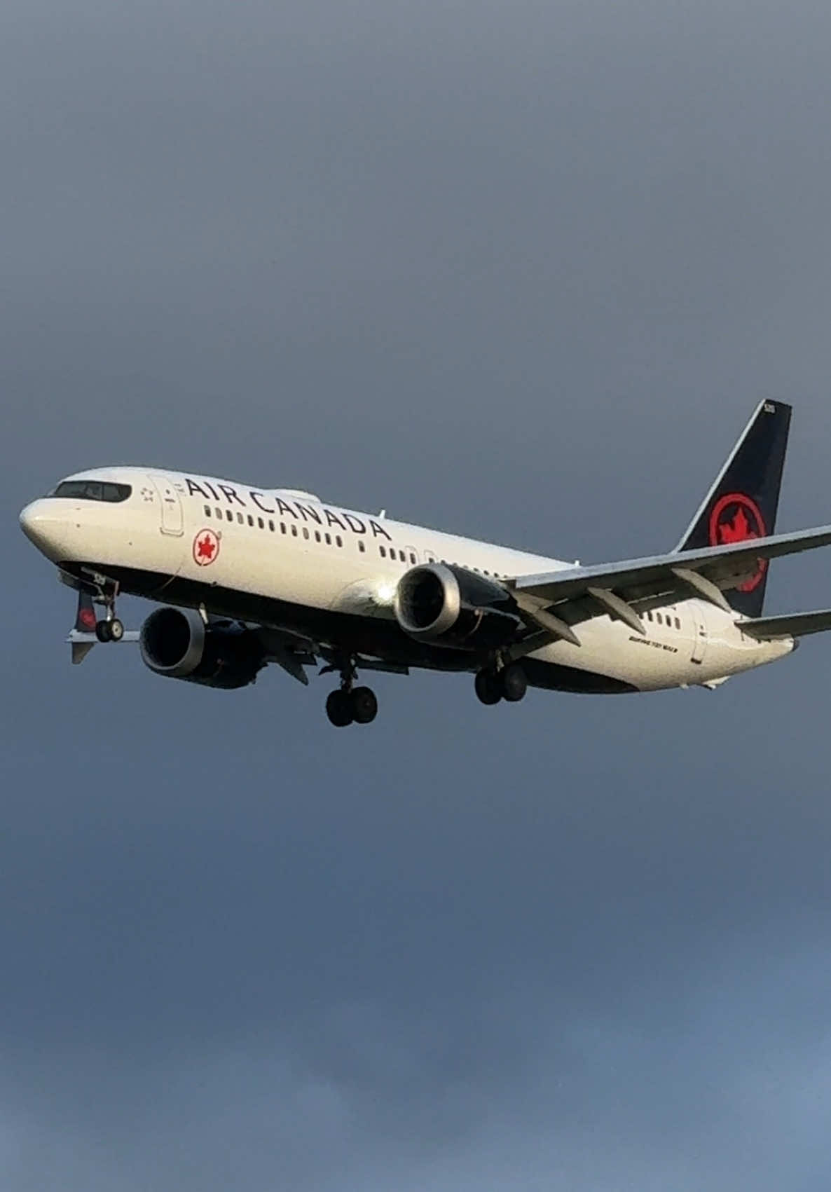 @Toronto Aviation