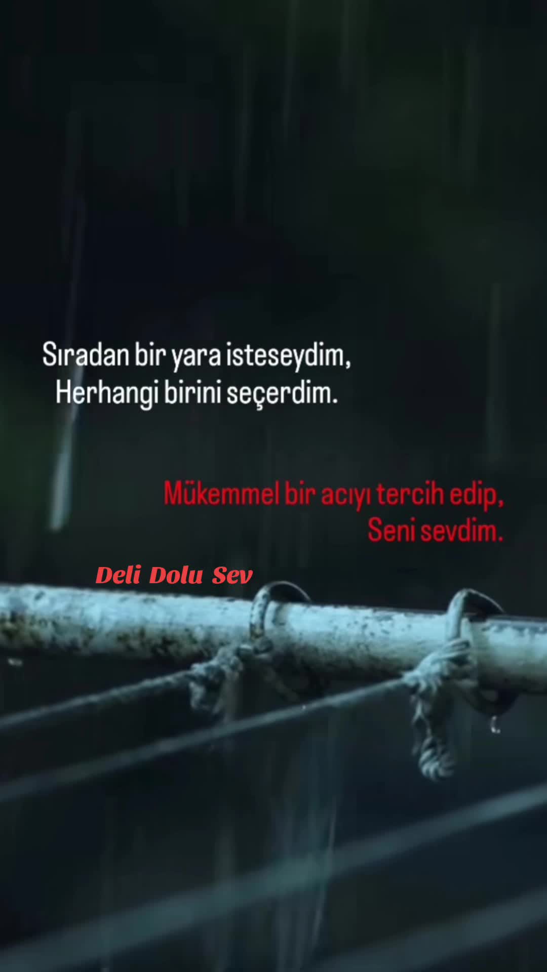 @~ Deli Dolu Sev ~