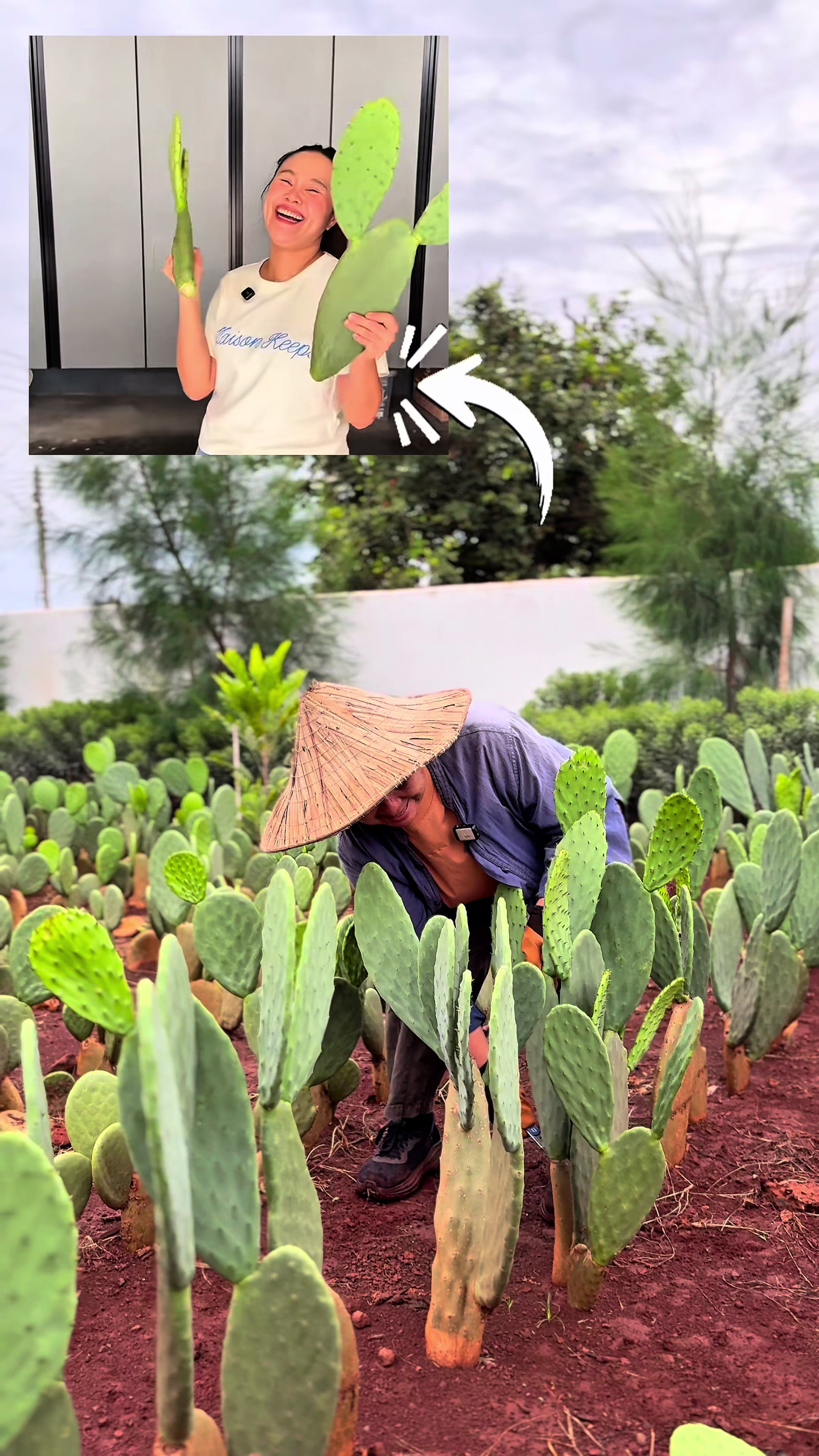 @ไร่วันยังขำ Oneyoungkham farm