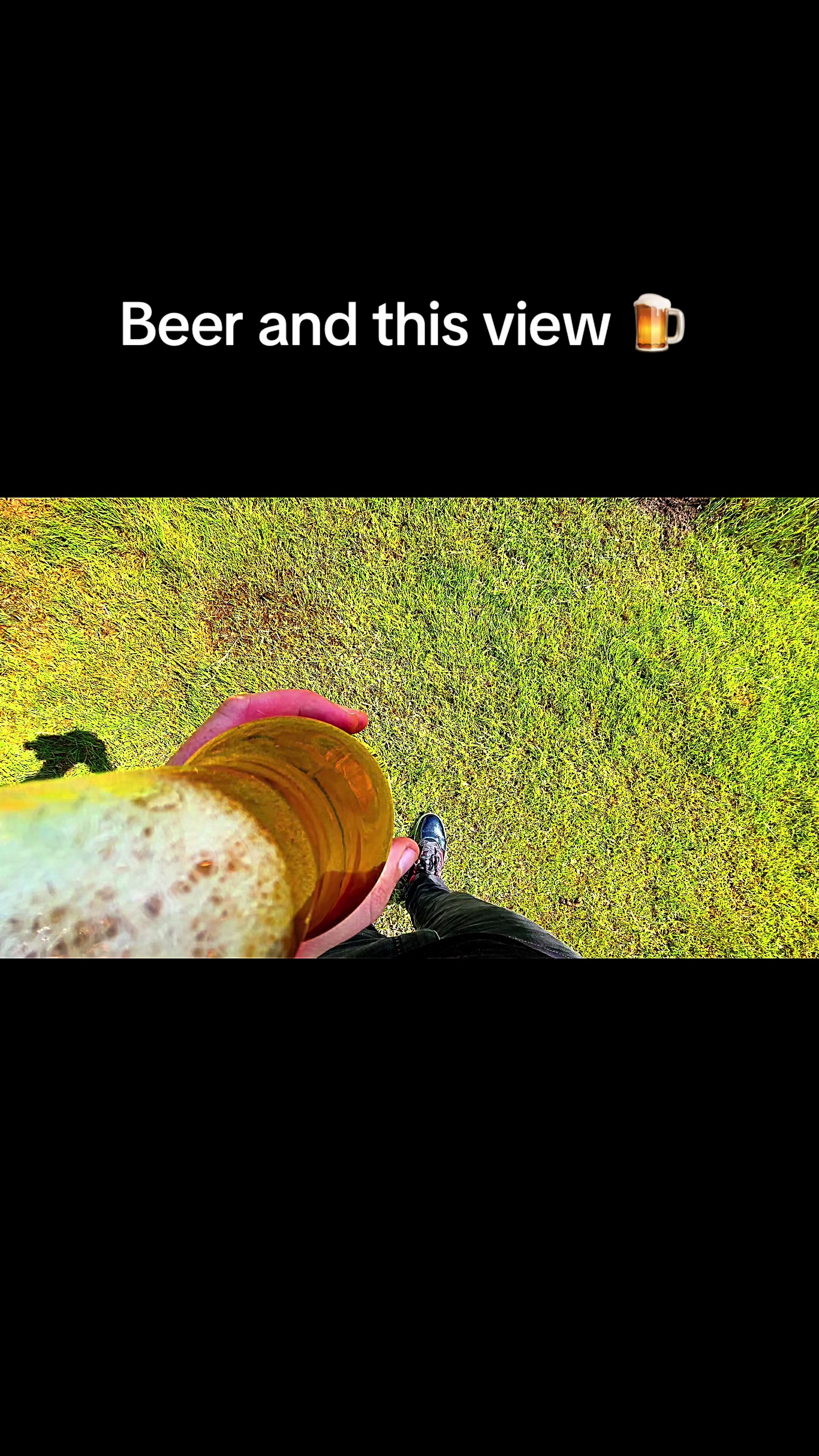 @Zomblights