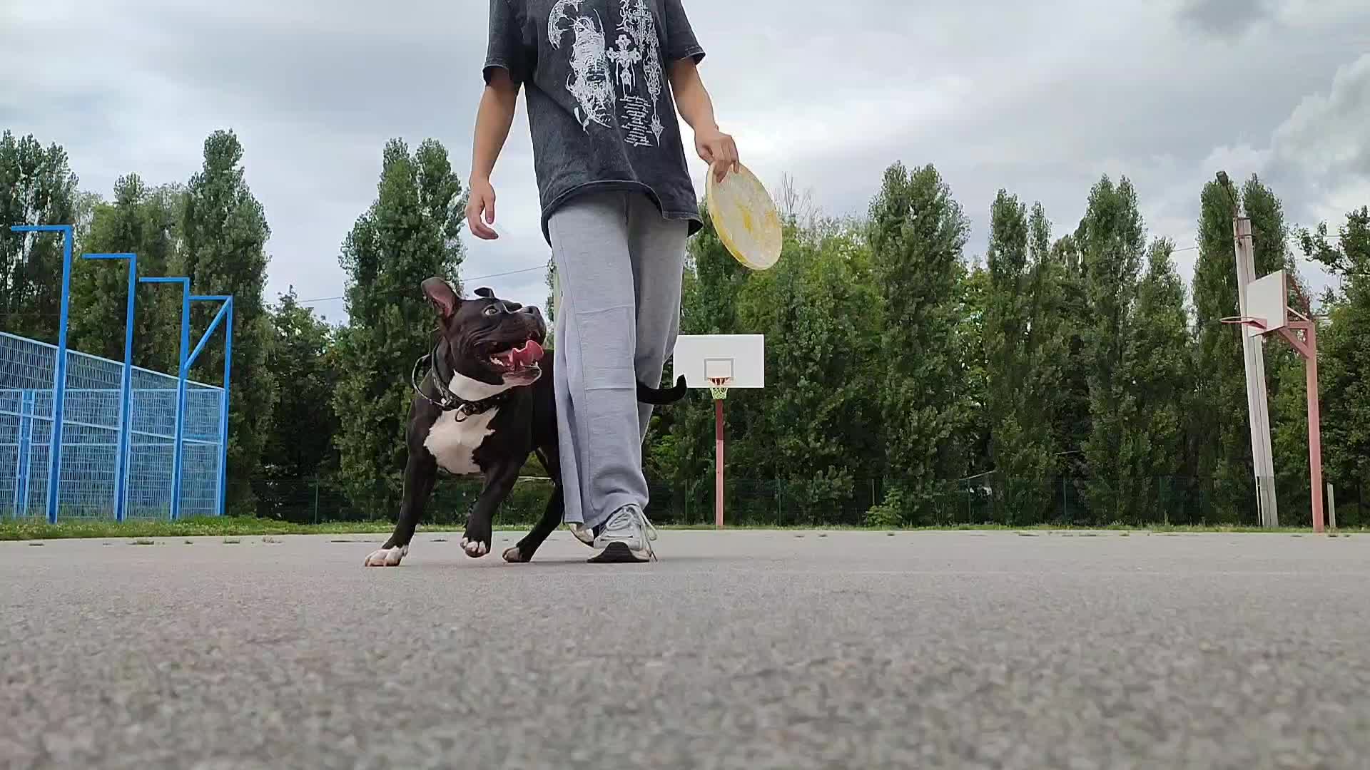 @𝒂𝒎𝒃𝒖𝒍𝒍 𝒅𝒆𝒔𝒔𝒂