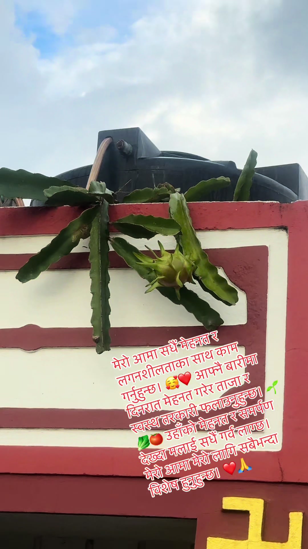 @Srijana subba