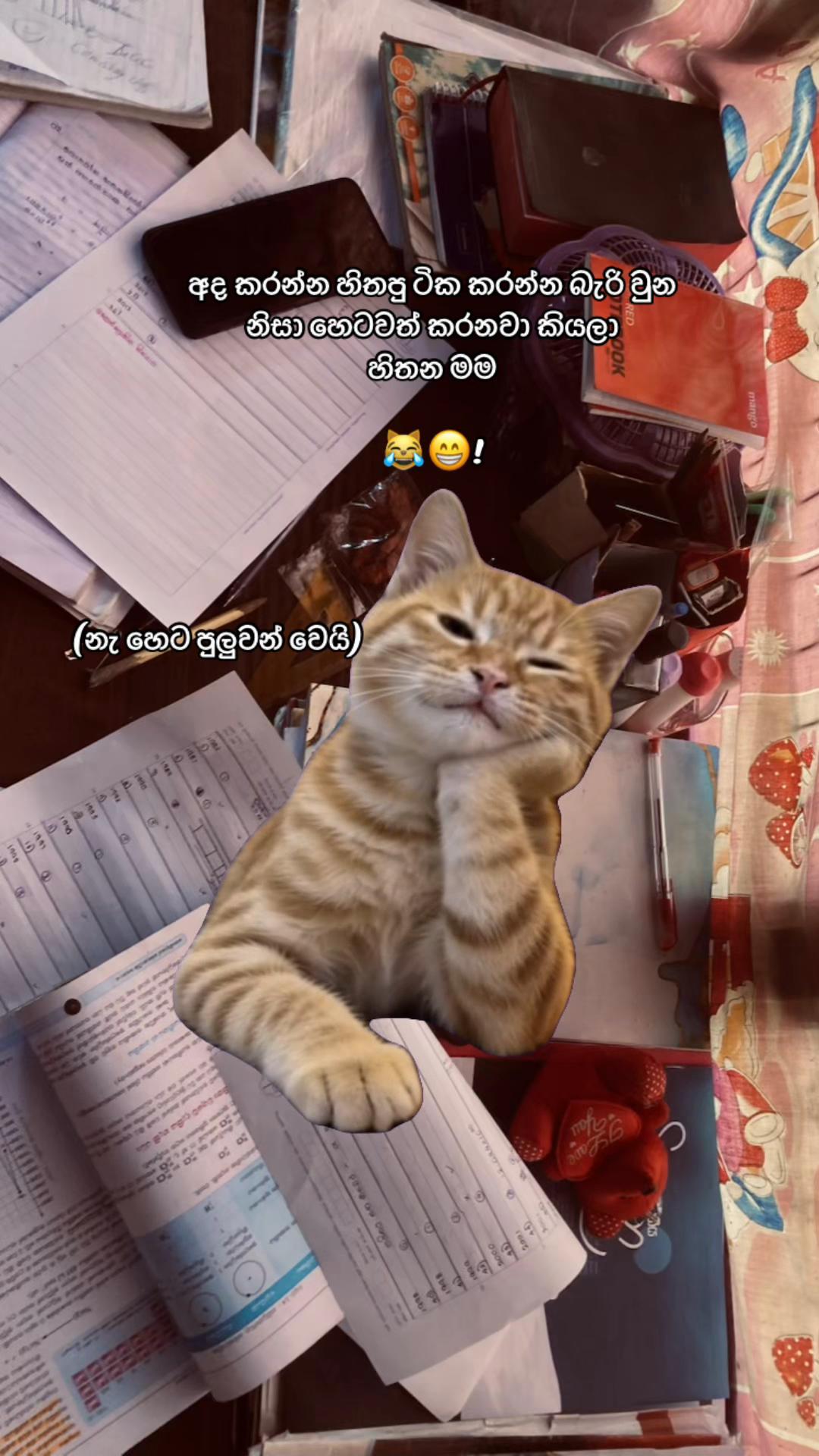 @Vishu Tt โ๏ธ!