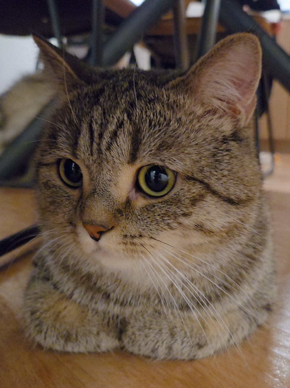 @Luka