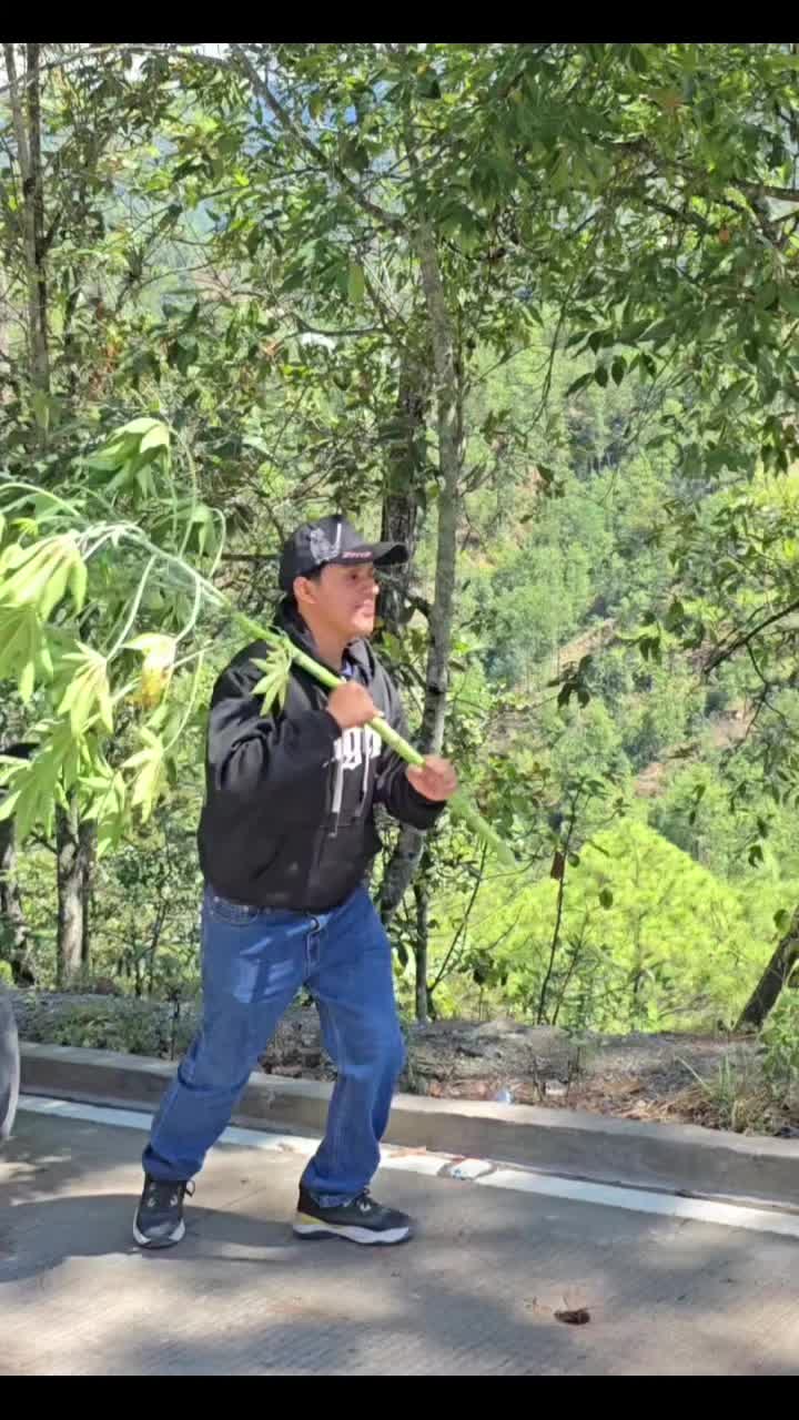 @Fer G&oacute;mz_🇬🇹