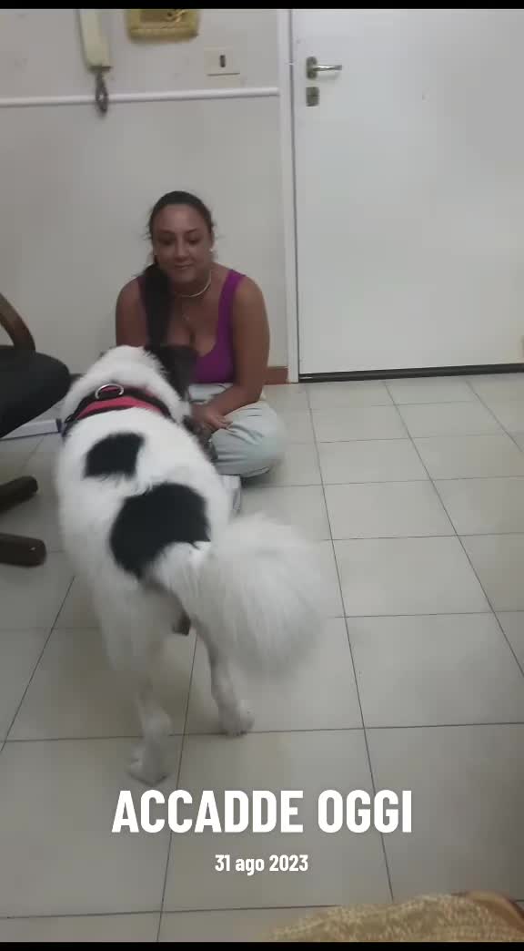 @Pina Panico