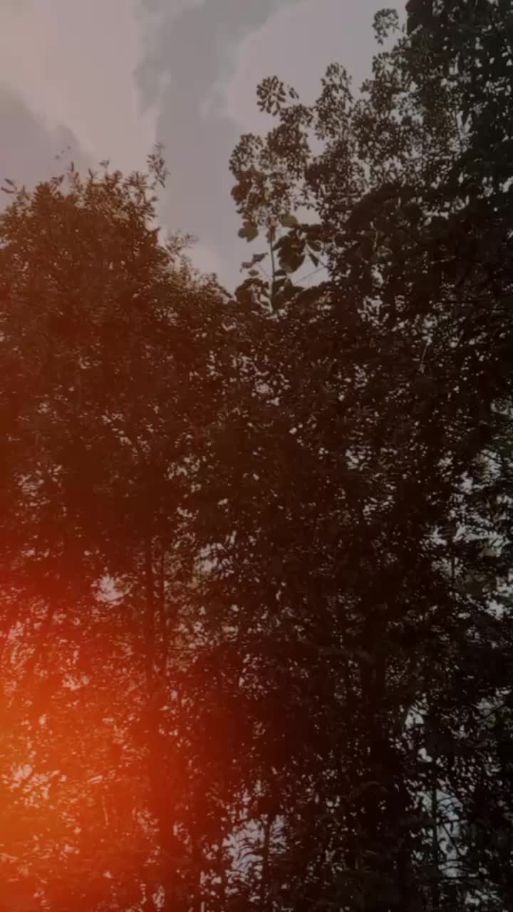 @𝐸𝑦𝑒𝑠 𝑘𝑖𝑙𝑙𝑒𝑟🪽👀💙