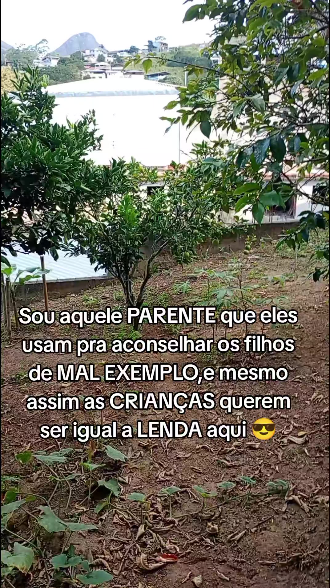 @Criatório Fênix 🐦🔥