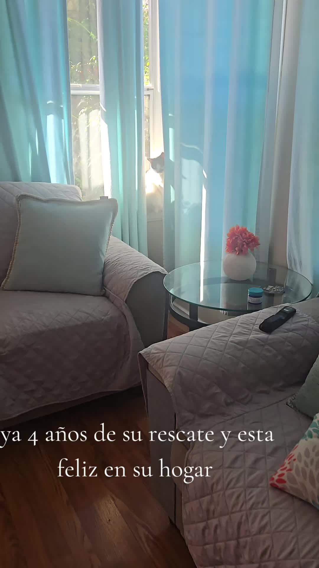 @Teresa Sanchez