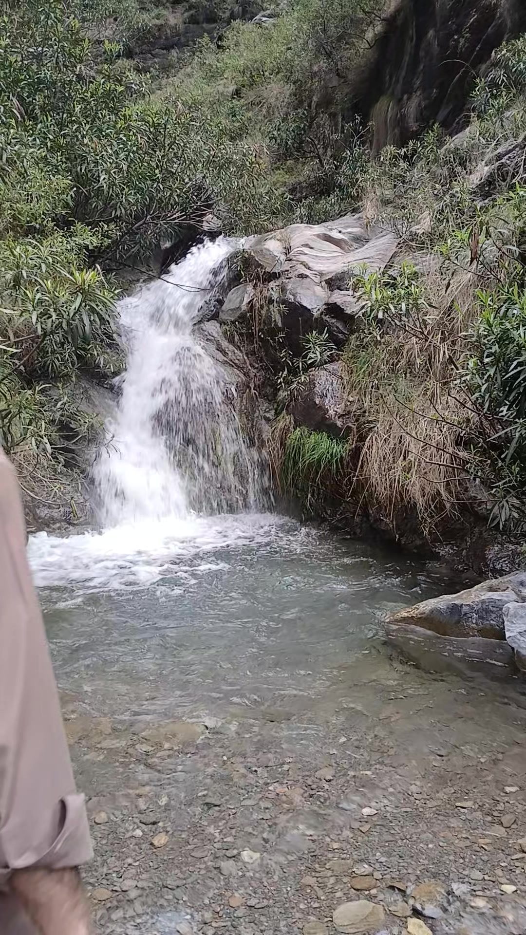 @🌲 sange_marjan ⛰️