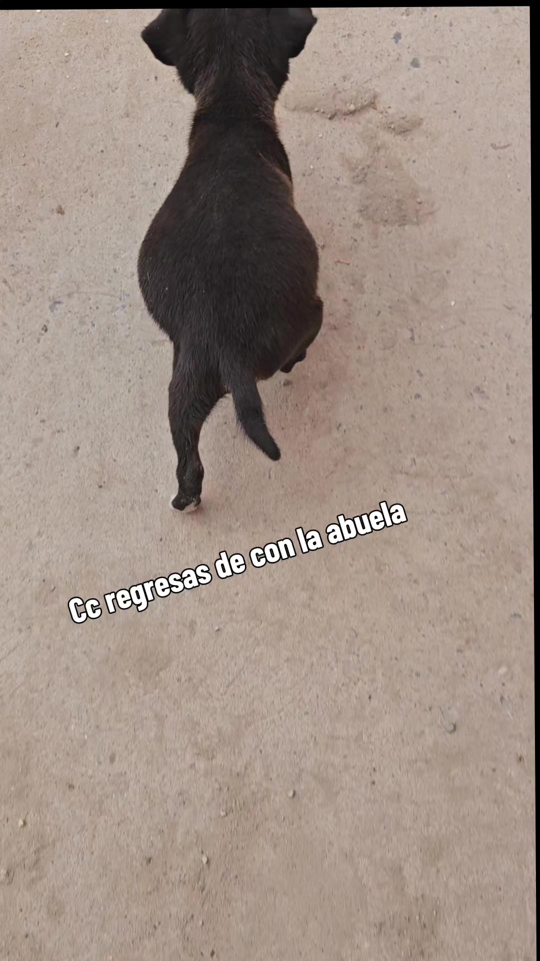 @Lily