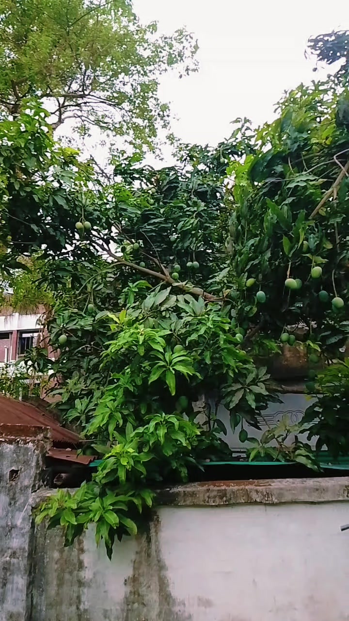 @এলিয়েন গালফ্রেন্ড🤭🤭🫣