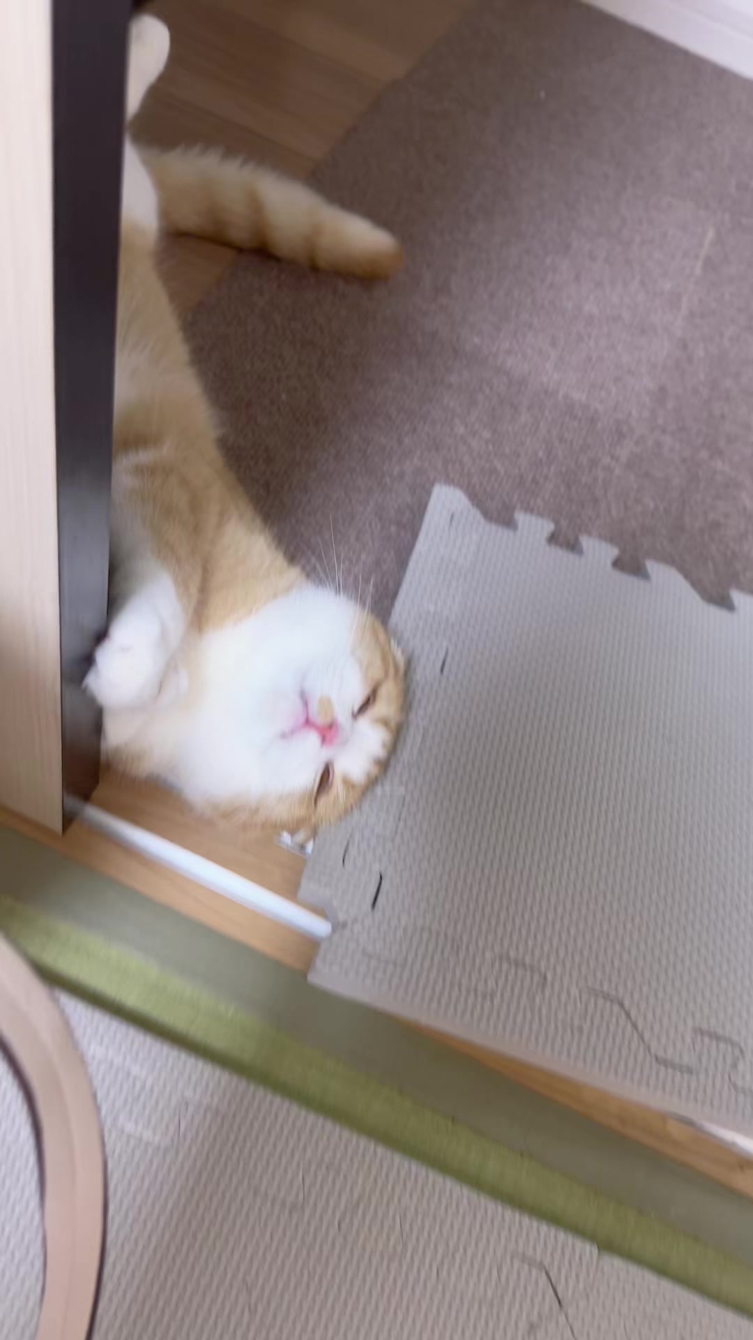 @マロン