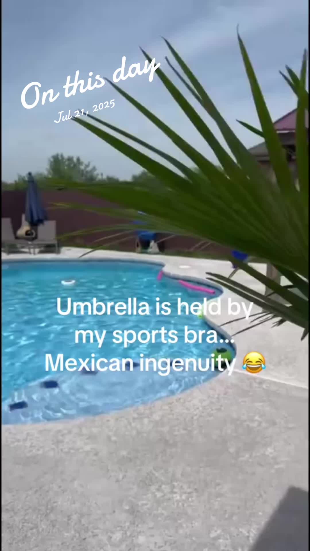 @Marisol Velez🌴🥥