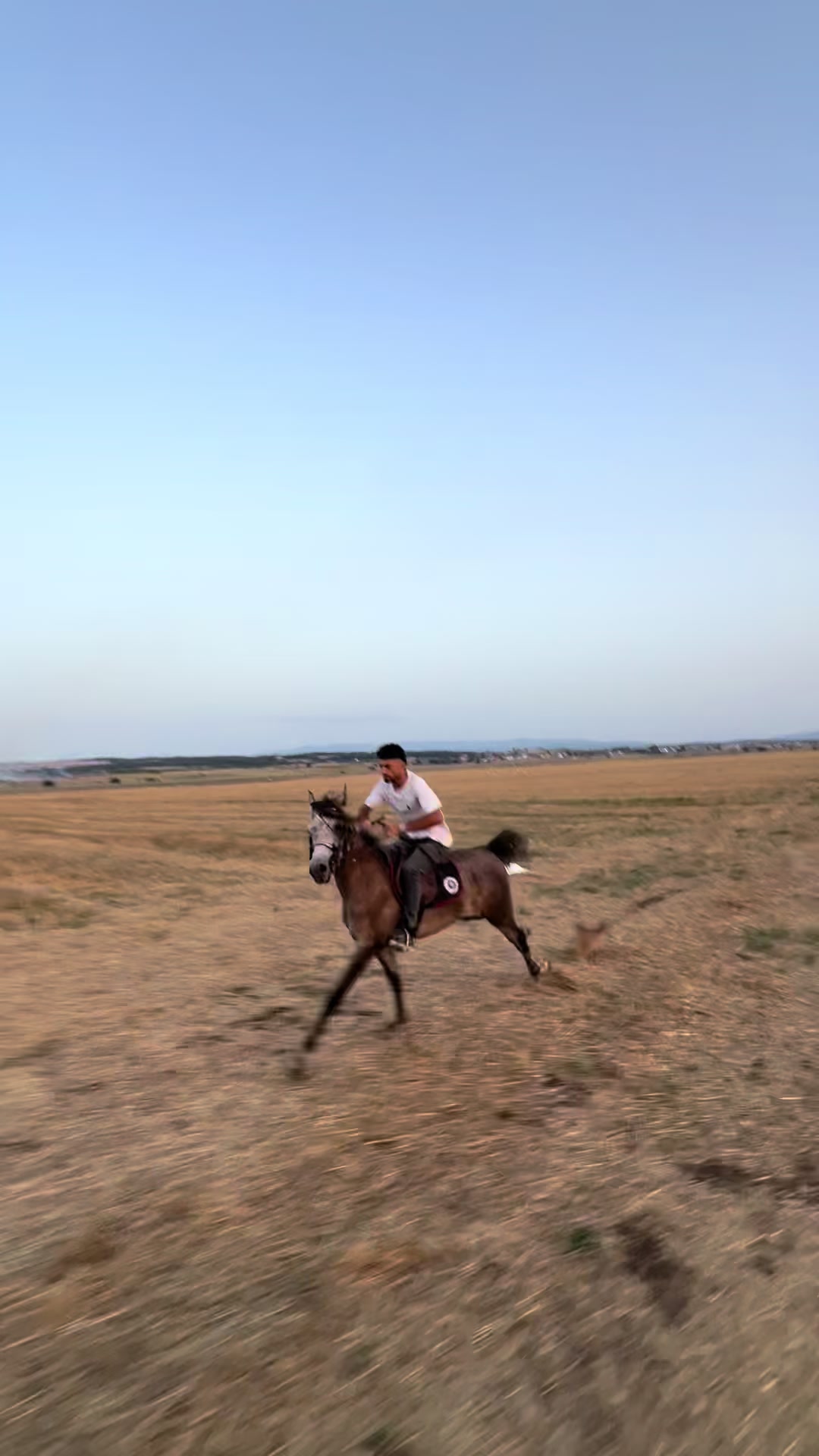 @BERTI RANCH 🐎